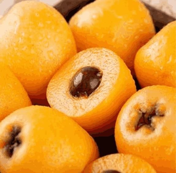 Five-star Loquat Seeds